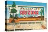 Welcome to Arizona Billboard-null-Stretched Canvas