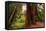 Welcome to Muir Woods 4-Vincent James-Framed Stretched Canvas