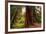 Welcome to Muir Woods 4-Vincent James-Framed Photographic Print