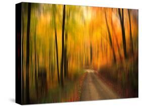 Welcome to My Fall-Philippe Sainte-Laudy-Stretched Canvas