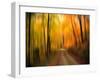 Welcome to My Fall-Philippe Sainte-Laudy-Framed Photographic Print