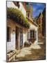 Welcome to My House-Gilles Archambault-Mounted Giclee Print