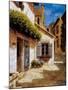 Welcome to My House-Gilles Archambault-Mounted Art Print