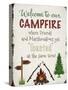 Welcome To Our Campfire 2-Jean Plout-Stretched Canvas