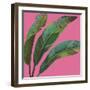 Welcome to Paradise XI on Pink-Janelle Penner-Framed Art Print