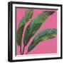 Welcome to Paradise XI on Pink-Janelle Penner-Framed Art Print