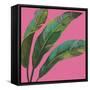 Welcome to Paradise XI on Pink-Janelle Penner-Framed Stretched Canvas