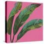 Welcome to Paradise XI on Pink-Janelle Penner-Stretched Canvas