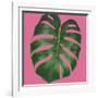 Welcome to Paradise XIII on Pink-Janelle Penner-Framed Art Print