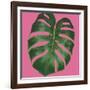 Welcome to Paradise XIII on Pink-Janelle Penner-Framed Art Print