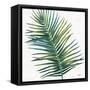 Welcome to Paradise XIV-Janelle Penner-Framed Stretched Canvas