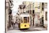 Welcome to Portugal Collection - Bica Tram in Lisbon II-Philippe Hugonnard-Stretched Canvas