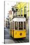 Welcome to Portugal Collection - Elevador da Bica - Lisbon Tram-Philippe Hugonnard-Stretched Canvas