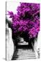 Welcome to Portugal Collection - Flowery Staircase II-Philippe Hugonnard-Stretched Canvas