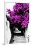 Welcome to Portugal Collection - Flowery Staircase II-Philippe Hugonnard-Framed Photographic Print