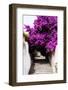 Welcome to Portugal Collection - Flowery Staircase-Philippe Hugonnard-Framed Photographic Print
