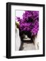 Welcome to Portugal Collection - Flowery Staircase-Philippe Hugonnard-Framed Photographic Print