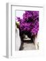 Welcome to Portugal Collection - Flowery Staircase-Philippe Hugonnard-Framed Photographic Print