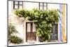 Welcome to Portugal Collection - Old Portuguese House facade II-Philippe Hugonnard-Mounted Photographic Print