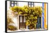Welcome to Portugal Collection - Old Portuguese House facade with Fall Colors-Philippe Hugonnard-Framed Stretched Canvas