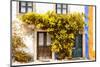 Welcome to Portugal Collection - Old Portuguese House facade with Fall Colors-Philippe Hugonnard-Mounted Photographic Print