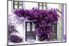 Welcome to Portugal Collection - Old Portuguese House facade with Purple Colors-Philippe Hugonnard-Mounted Photographic Print