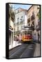 Welcome to Portugal Collection - Prazeres 28 Lisbon Tram-Philippe Hugonnard-Framed Stretched Canvas