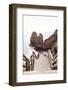 Welcome to Portugal Collection - Stairs to the Beach II-Philippe Hugonnard-Framed Photographic Print