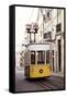 Welcome to Portugal Collection - Tramway Bica II-Philippe Hugonnard-Framed Stretched Canvas