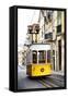 Welcome to Portugal Collection - Tramway Bica-Philippe Hugonnard-Framed Stretched Canvas