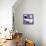 Welcome to Portugal Square Collection - Purple Brick Facade-Philippe Hugonnard-Stretched Canvas displayed on a wall