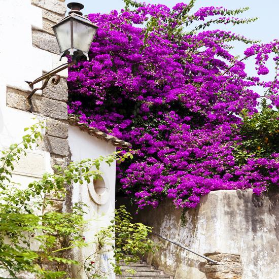 'Welcome to Portugal Square Collection - Purple Tree' Photographic ...