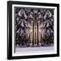 Welcome to the Dawn-Philippe Sainte-Laudy-Framed Photographic Print