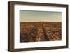 Welcome VI-Nathan Larson-Framed Photographic Print