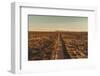 Welcome VI-Nathan Larson-Framed Photographic Print