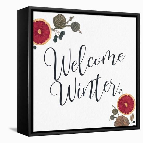 Welcome Winter-Kim Allen-Framed Stretched Canvas