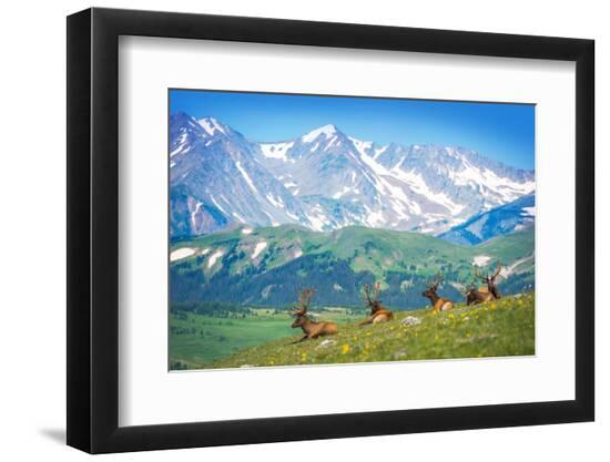 Premium Photographic Print, , large