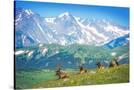 Stretched Canvas