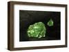 Wëlkeschkummer, Small Cave, Echternach, Mullerthal, Luxembourg, May 2009-Tønning-Framed Photographic Print