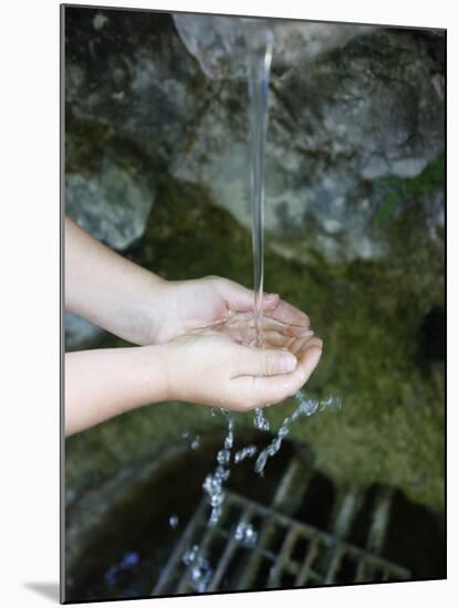 Well at La Benite Fontaine Sanctuary, La Roche-Sur-Foron, Haute Savoie, France, Europe-null-Mounted Photographic Print