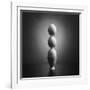 Well balanced diet 2-Victoria Ivanova-Framed Photographic Print