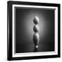 Well balanced diet 2-Victoria Ivanova-Framed Photographic Print
