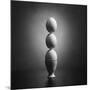 Well balanced diet 2-Victoria Ivanova-Mounted Photographic Print