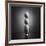 Well balanced diet 2-Victoria Ivanova-Framed Photographic Print