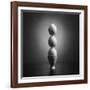 Well balanced diet 2-Victoria Ivanova-Framed Photographic Print