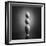 Well balanced diet 2-Victoria Ivanova-Framed Premium Photographic Print