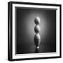 Well balanced diet 2-Victoria Ivanova-Framed Premium Photographic Print