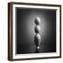 Well balanced diet 2-Victoria Ivanova-Framed Photographic Print