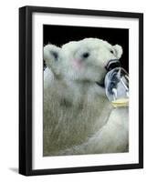 Well Chilled White-Will Bullas-Framed Giclee Print