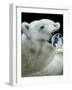 Well Chilled White-Will Bullas-Framed Giclee Print